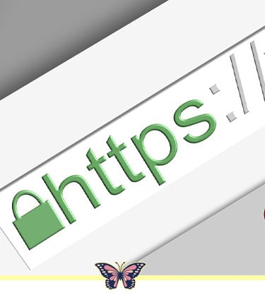 Check the SSL Certificate of the Website