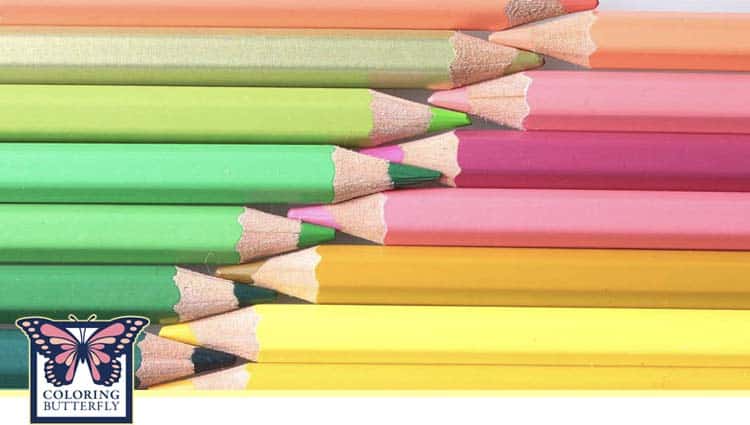 Wax-based Colored Pencils Purchase Criteria