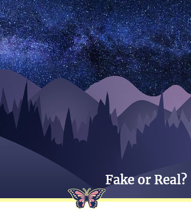 Spot Fake vs Real